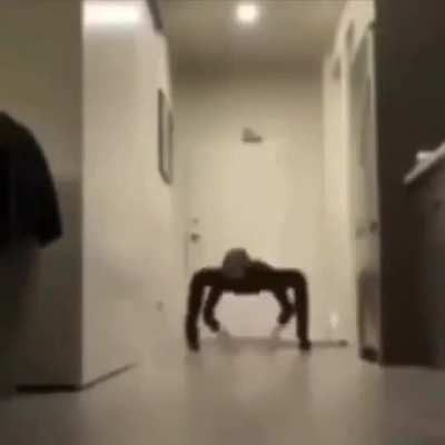 spider dance