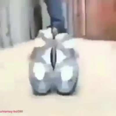 Hedgepoststatus