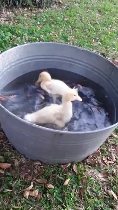 Amazing Bath Time