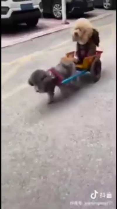 Cuteness