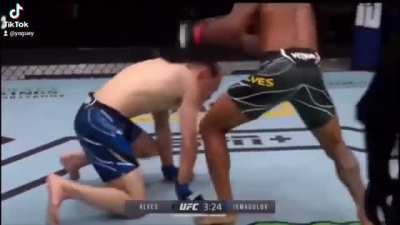 UFC fight