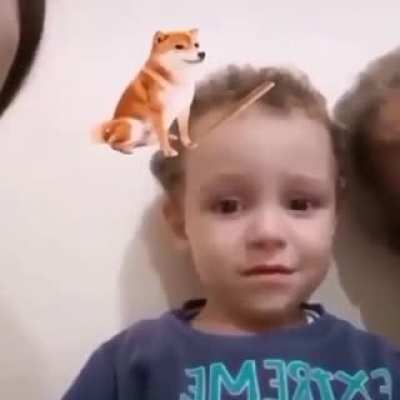 Bonk