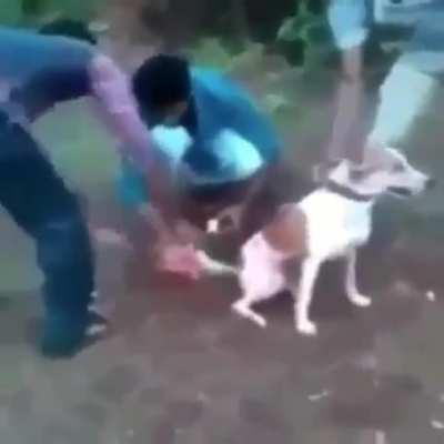 fico dl&ccedil;ioso