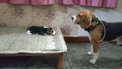 Deep conversation between father & daughter