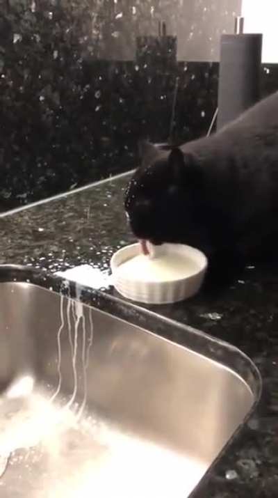 It's like he's never drank before....