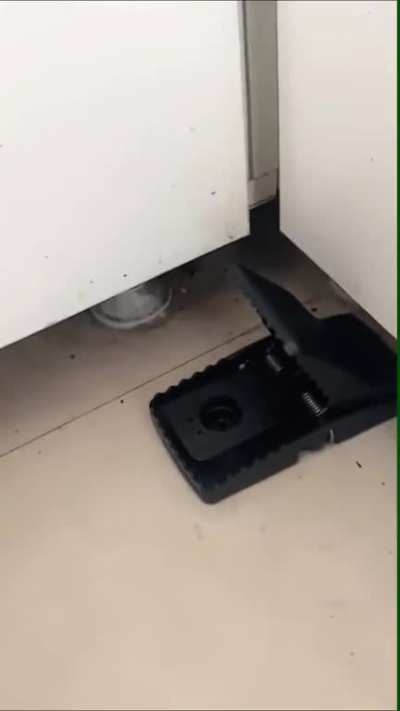 at least now he&rsquo;s certain that it works.