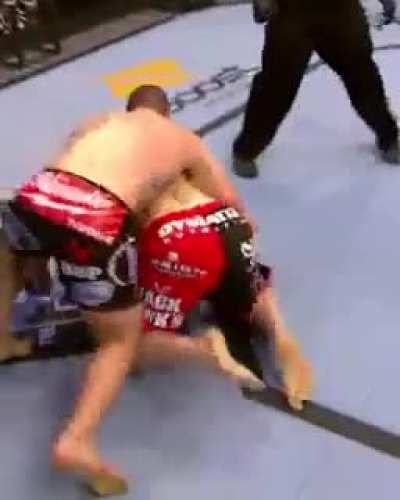 Cain Velasquez finished Brock Lesnar with total domination