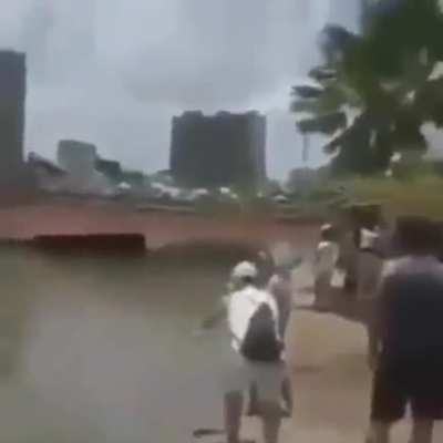Video perfeito do dia