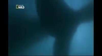 A sua m&atilde;e 😳😳