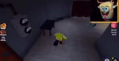 Squid 