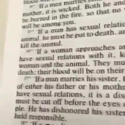 Guess what Furries