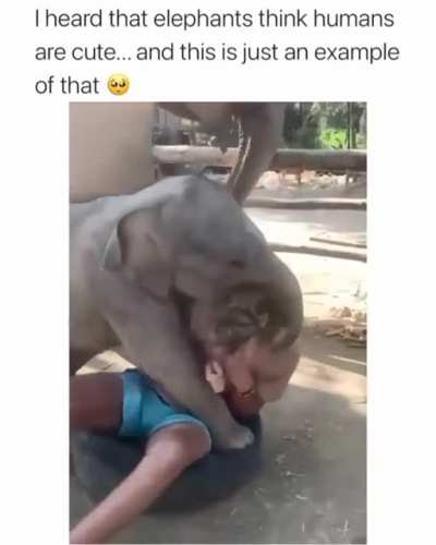 This hooman is cute