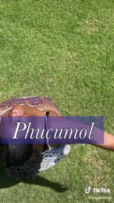 she secured her place in the history books with this revolutionary tiktok