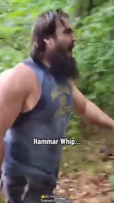 HAMMER