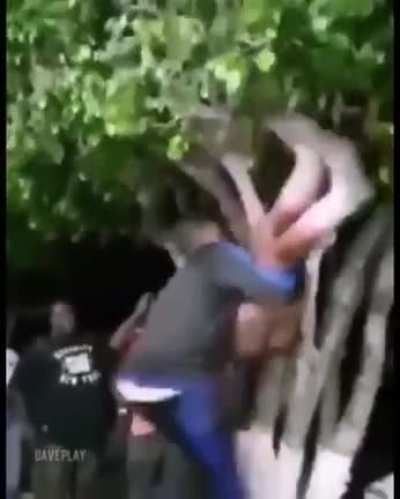 El sentido de la vida