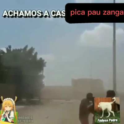 Aviso