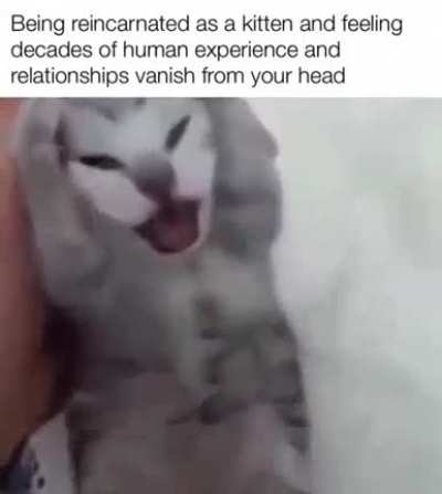 😳