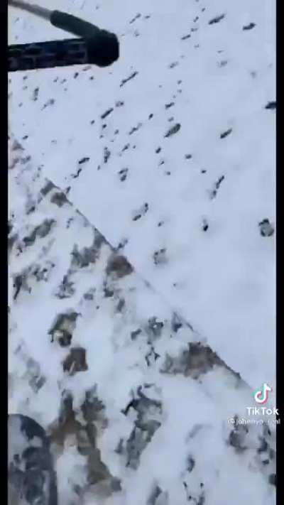 When it snows in Texas