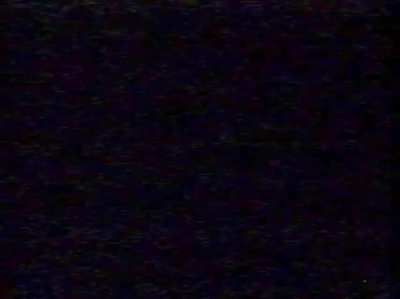 "GOOOOD EVENING!!" - large scary bear