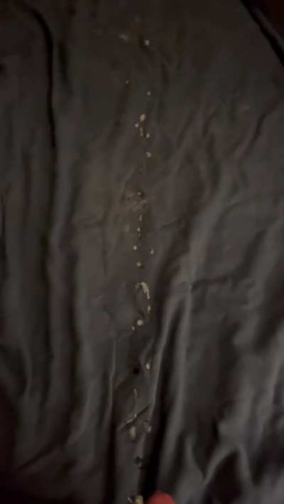My first upload. Think it’s a big load.