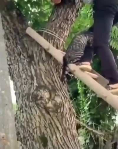 Когда осталась последняя жизнь...