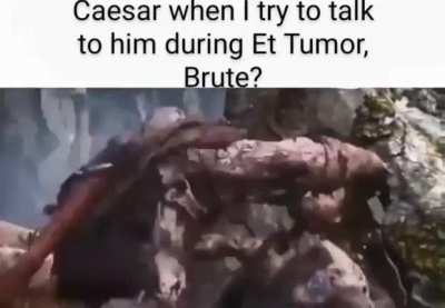 I warned you not to bother me! Praetorians, kill this asshole!