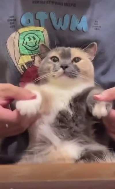 MeOOOWWW