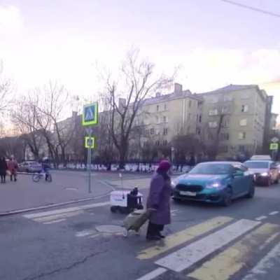 Just an old lady, helping robo-courier cross the road