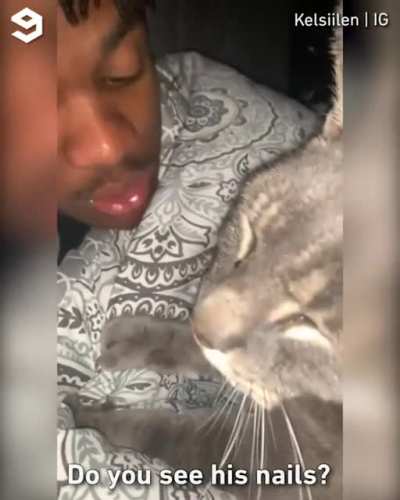 He just wants to cuddle