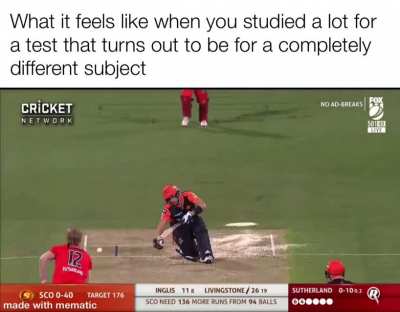 I finally figured gifs out!!!