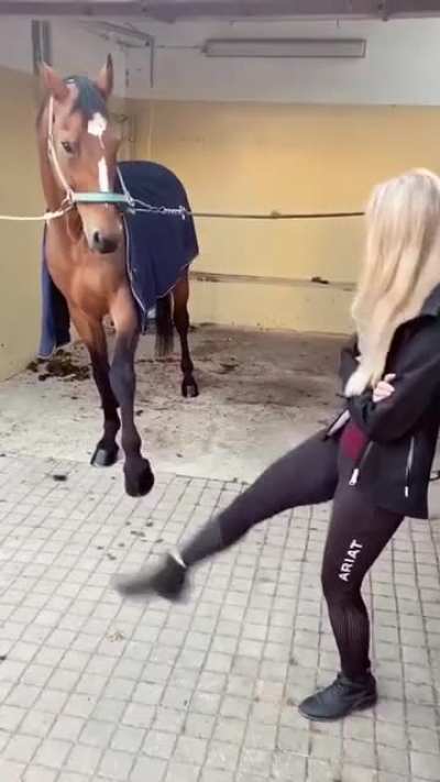 Забавная лошадка