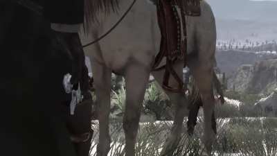 The Good, the Bad, and the Horse