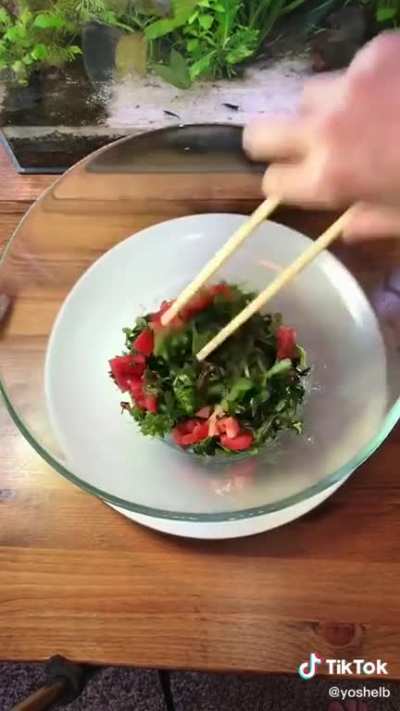 "My shrimp are always eating the tastiest salads" shrimptok