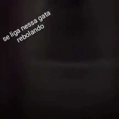 Olha essa gata dan&ccedil;ando