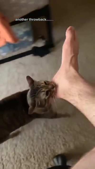 Achilles dragging Hector&rsquo;s corpse around Troy