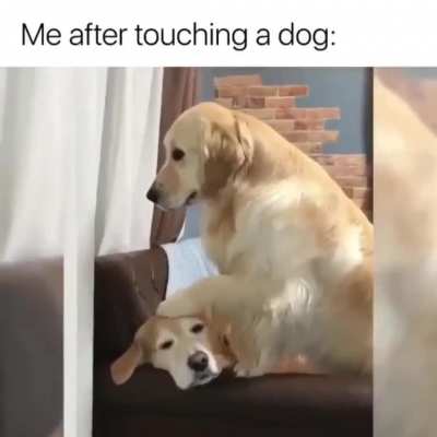 Me_irl