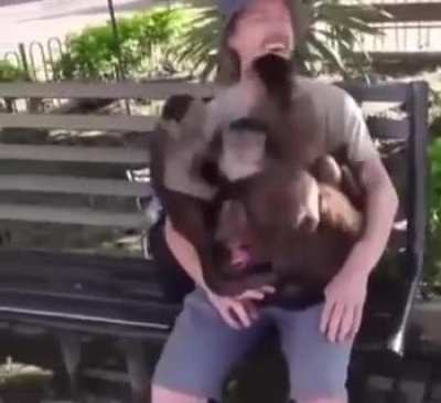 Monke