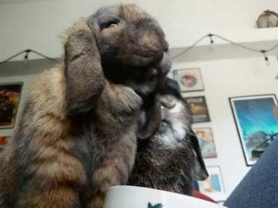 they&rsquo;re eating her! and then they&rsquo;re going to eat me! ooh my gaaaaaaaaaahhhhhhdd