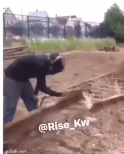 Tomo