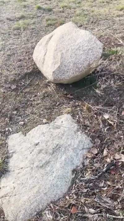 My contribution