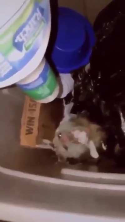 hes a hungry boi