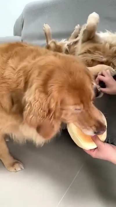 "No, it's all mine"