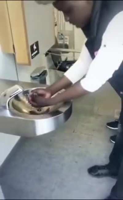 Another chapter in the history of race and toilets