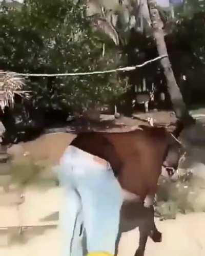&eacute;