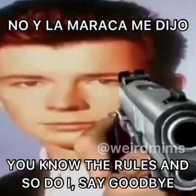 XD