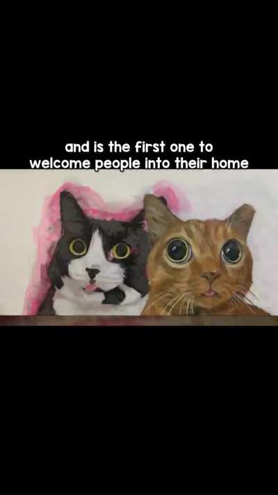 The second cat I added to The Sillies! :3