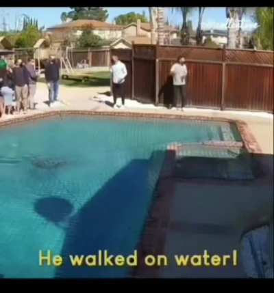 Woof on water