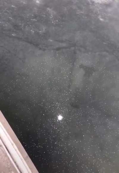 Dropping a Snowball