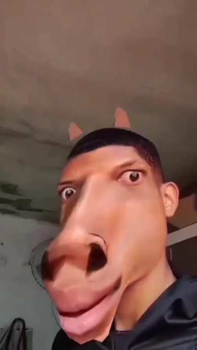 Caballo promiscuo