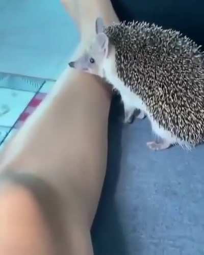 Mmm...FUCK YOUUUUUU